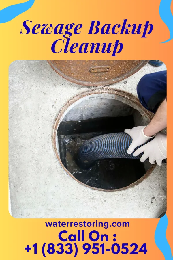 Sewage Backup Cleanup in Walkerton, IN