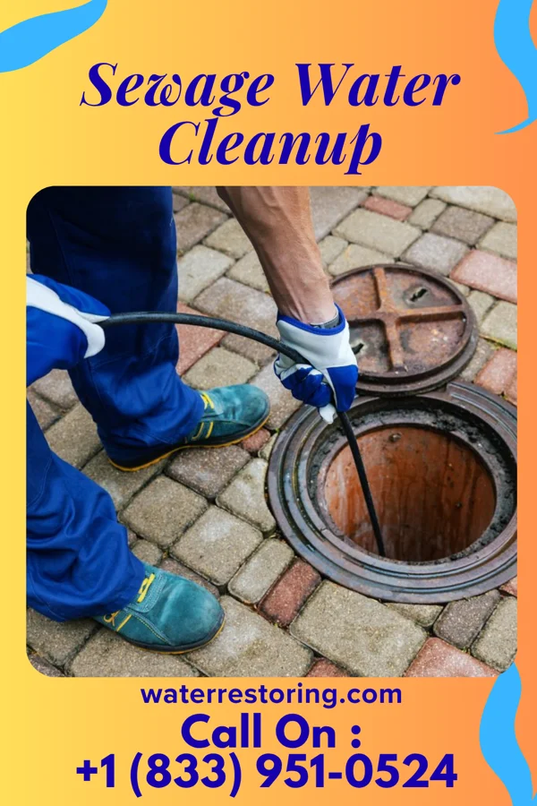 Sewage Water Cleanup in Walkerton, IN